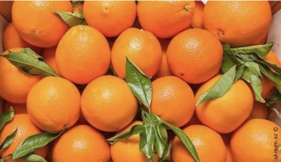 Azərbaycana gələn portağallar təhlükəli maddə ilə ‘kraska’lanırmış – Rəsmi təsdiqləndi  İran İslam Respublikasından portağal məhsullarının