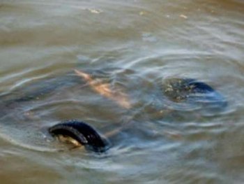 Biləsuvarda avtomobil kanala düşüb  -  Ölənlər Var