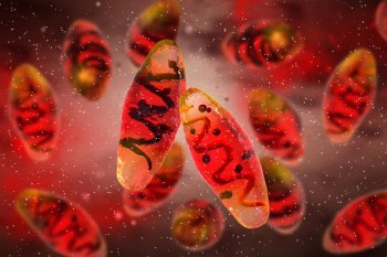 4000 illik qoyun Tunc dövrü vəbasının sirrini açdı