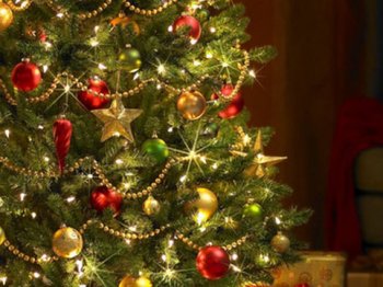 Yolkaya bu oyuncaqları asmaq olmaz - NİYƏ?