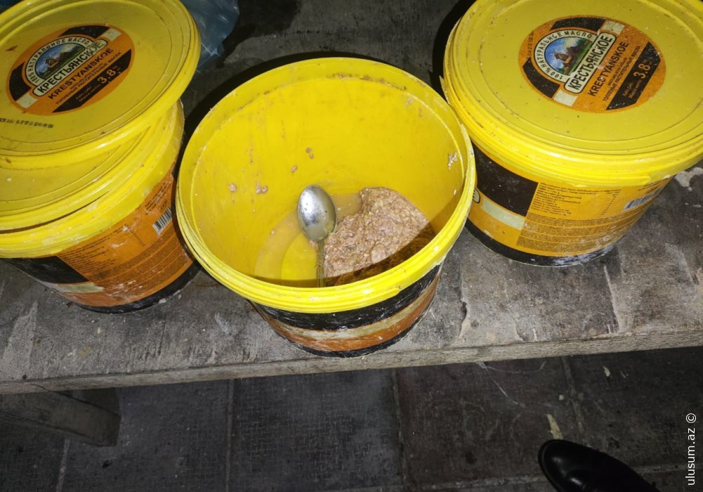 Ət qutabında at DNT-si aşkarlanıb - VİDEO