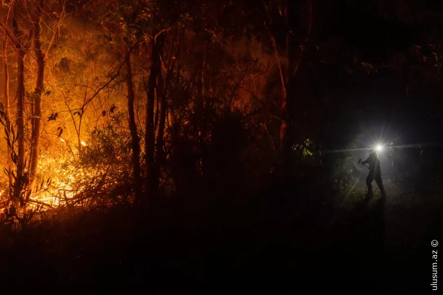 Çilidə meşə yanğınları: 21 nəfər həlak oldu