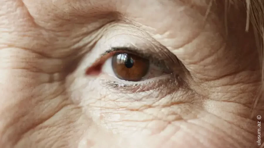 Alimlər  qocalmanın yavaşladan məhsulun adını açıqlayıblar