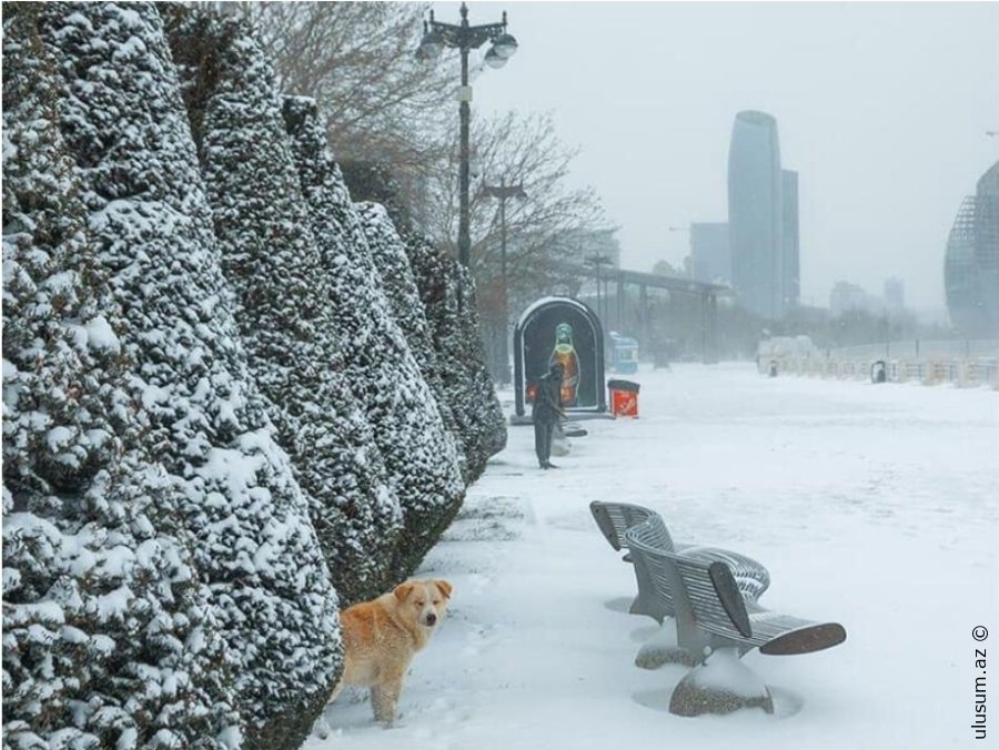 Fevral üçün hava proqnozu