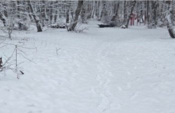 Sabah sulu qar və qar yağacaq