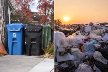 ABŞ-da zibil qaydalarını pozanlara sərt cəzalar