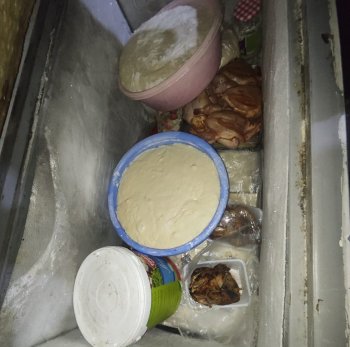 Ət qutabında at DNT-si aşkarlanıb - VİDEO