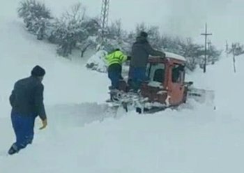 “Azərişıq”: Qısa zamanda cənub rayonlarında elektrik enerjisi bərpa ediləcək