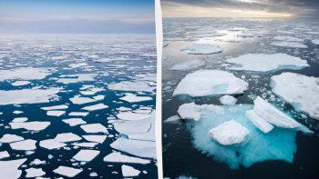 Almatı vilayətində dörd yeniyetmə buzun altına düşdü – biri həyatını itirdi