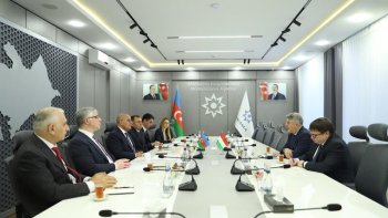 Macarıstanın ölkəmizdəki səfiri ilə ANAMA-da görüş keçirildi