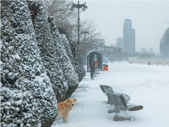Fevral üçün hava proqnozu