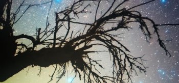 Astroturizm stressin azalmasında yeni yanaşma kimi diqqət çəkir  VİDEO