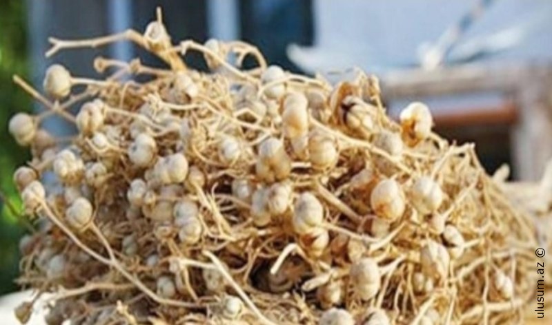 Nazirlikdən üzərliklə bağlı xəbərdarlıq