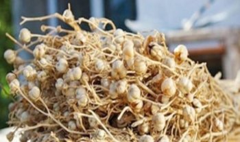 Nazirlikdən üzərliklə bağlı xəbərdarlıq